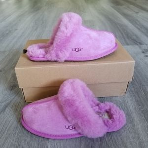 ugg scuffette bodacious